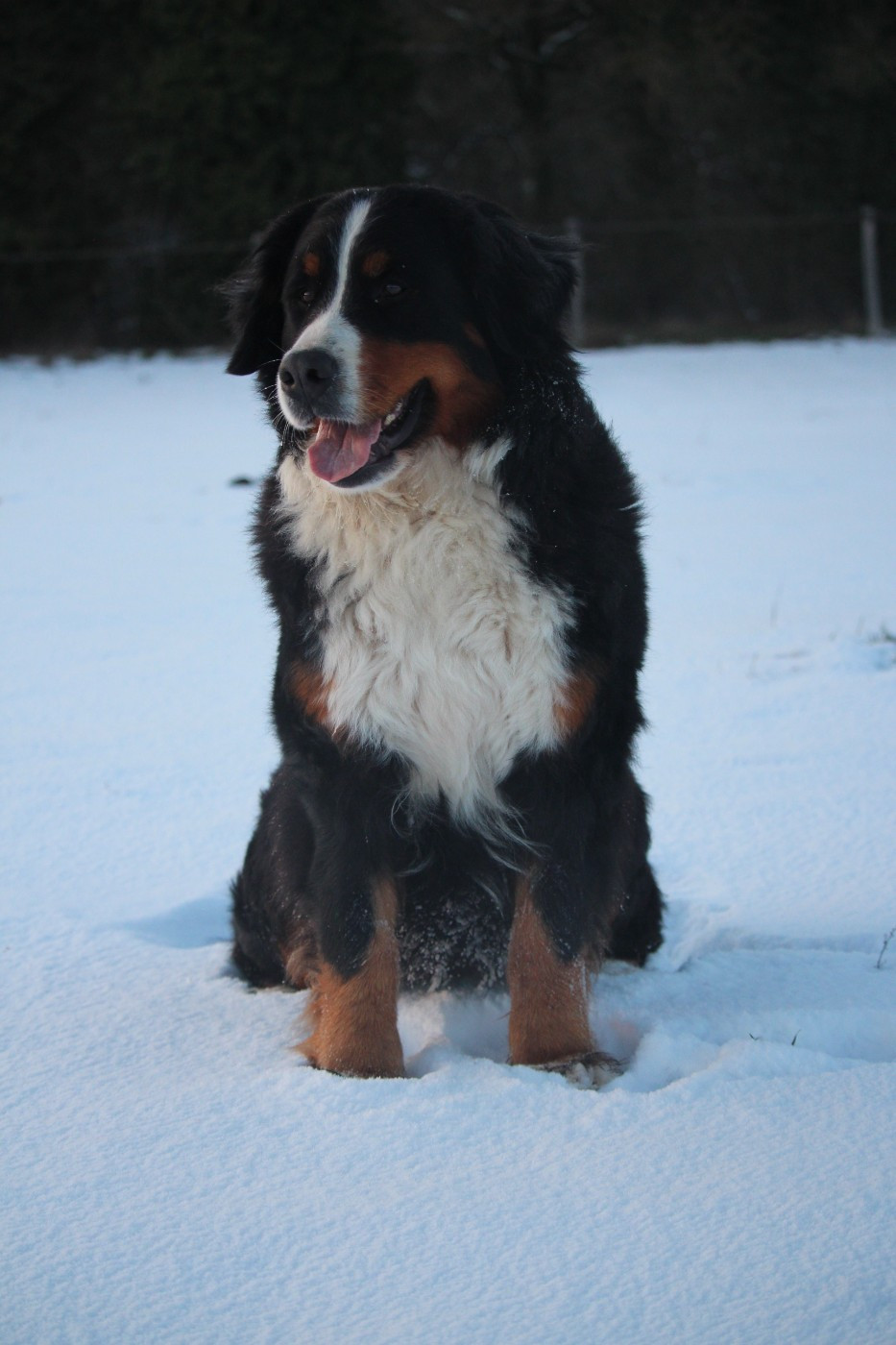 Tride des Treilles de Salvert